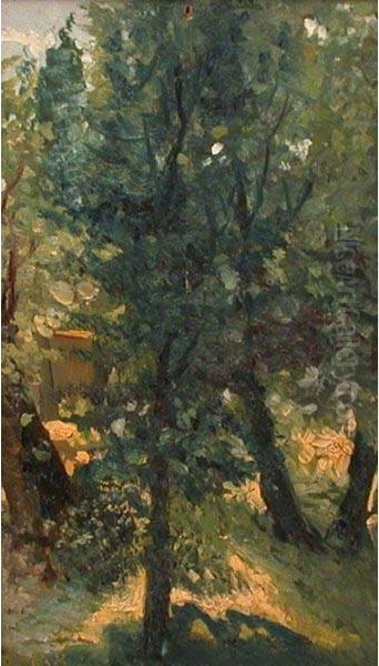 Scorcio Con Alberi Oil Painting by Eugenio Gignous