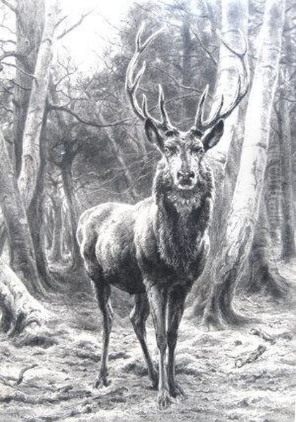 Stag In A Forest Oil Painting by Achille Isidore Gilbert