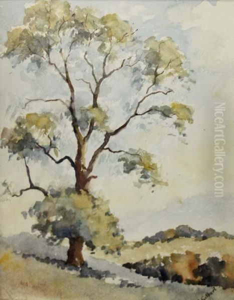 Tree Study Oil Painting by Joseph Francis Gilbert