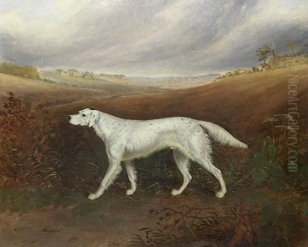 English Setter In An Extensive Parkland Setting Oil Painting by W.J. Gilbert