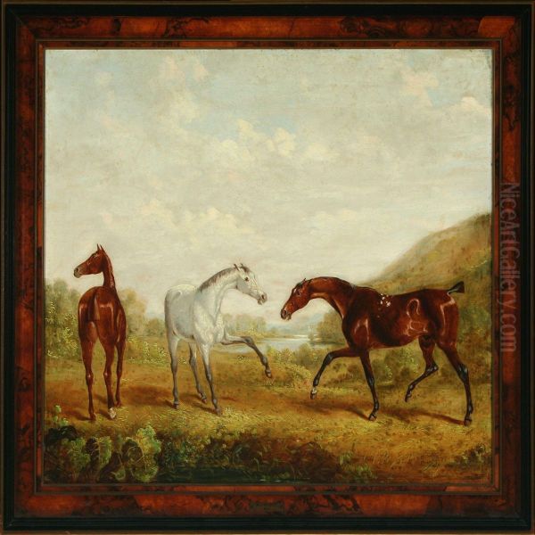 Landscape With Young Horses Oil Painting by W.J. Gilbert