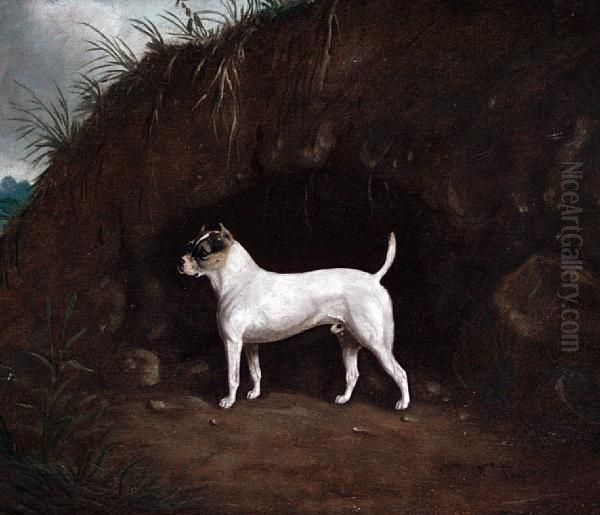 A Dog Standing Before A Muddy Bank Oil Painting by W.J. Gilbert