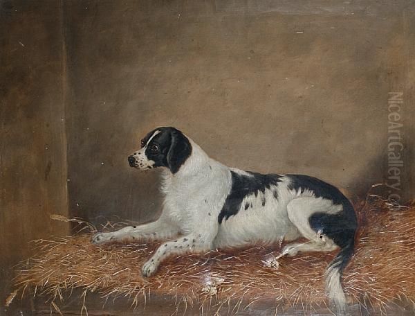 A Spaniel On A Straw Bed Oil Painting by W.J. Gilbert