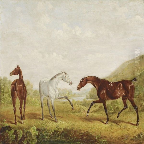 Landscape With Younghorses Oil Painting by W.J. Gilbert