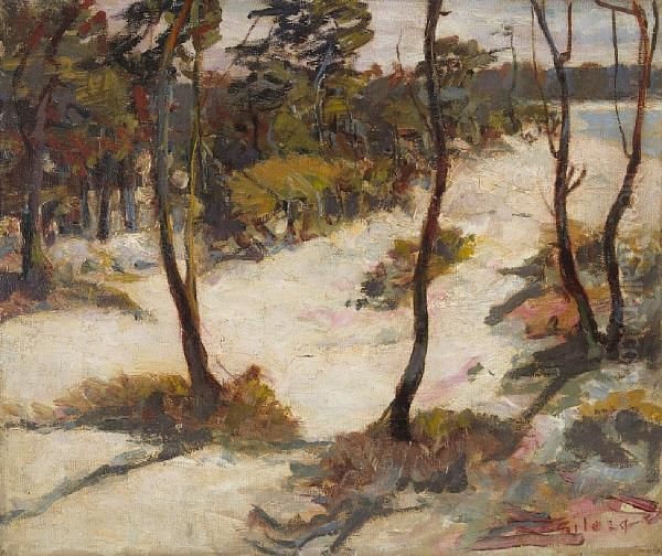 Sand Dunes Oil Painting by Selden Connor Gile