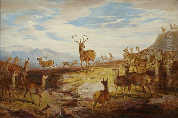 Deer On A Hillside Oil Painting by James William Giles