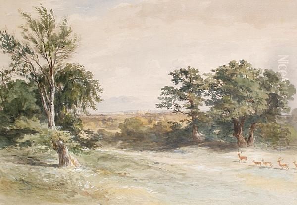 Deer In Windsor Park Oil Painting by James William Giles