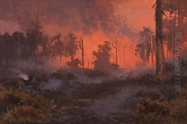 Fire In The Dandenong Ranges Oil Painting by Naylor Gill