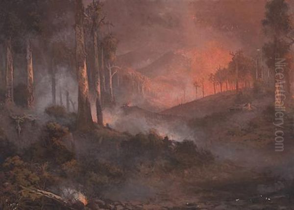 Bushfire, Gippsland, Victoria Oil Painting by Naylor Gill