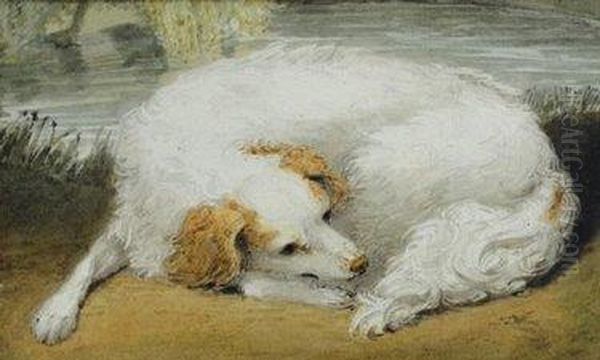 Study Of A Sleeping Dog Oil Painting by Sawrey Gilpin