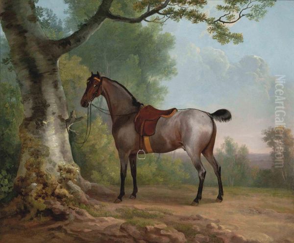 A Saddled Strawberry Roan Hunter Oil Painting by Sawrey Gilpin