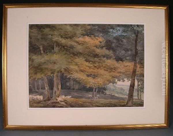 Sheep Grazing In Parkland Oil Painting by William Sawrey Gilpin