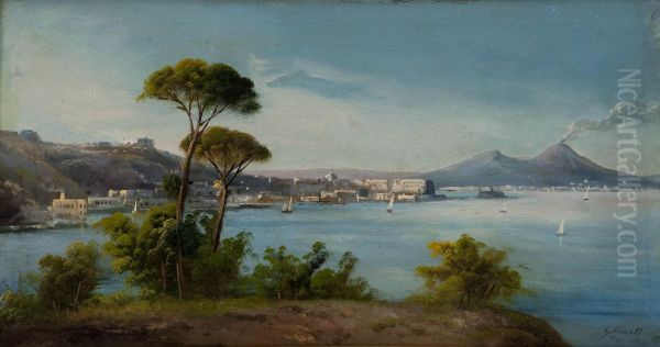 Veduta Del Golfo Di Napoli Da Posillipo Oil Painting by Guglielmo Giusti