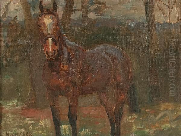 'bally Linda' - A Chestnut Mare Oil Painting by Helena Gleichen