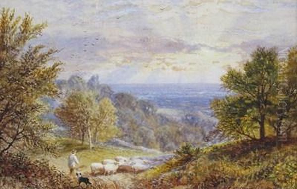 A Shepherd And His Flock On A Hillside Oil Painting by Alfred Augustus Glendenning