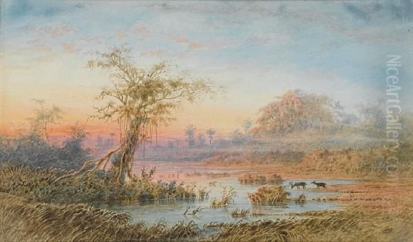 Venezuelan Landscape With Deer Oil Painting by Anton Goering