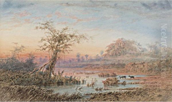 Paisaje De Venezuela Oil Painting by Anton Goering