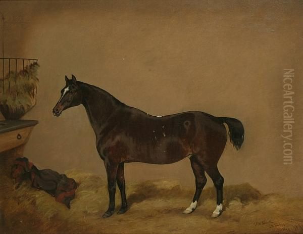 A Dark Bay Pony In A Loosebox Oil Painting by R.A.C. Gooch