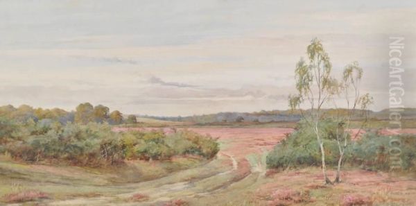 On Brockenhurstcommon Oil Painting by John Edward Goodall