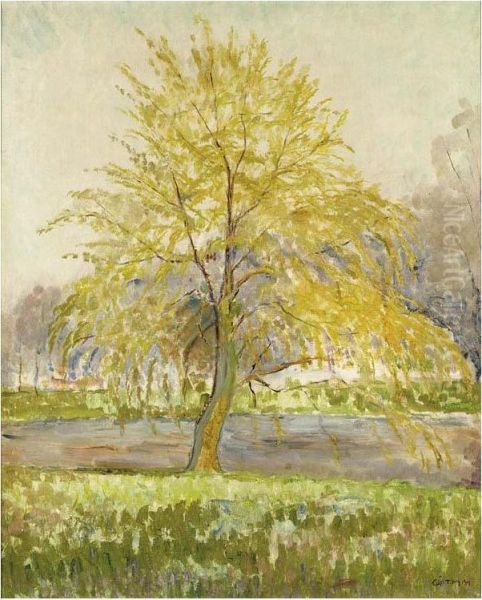 A Willow Tree Oil Painting by Maurice Goth