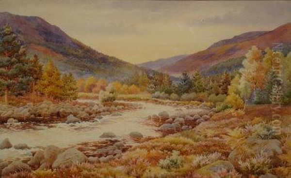 An Autumnal Mountainous River Landscape With Heathers And Firs Oil Painting by J. Gough