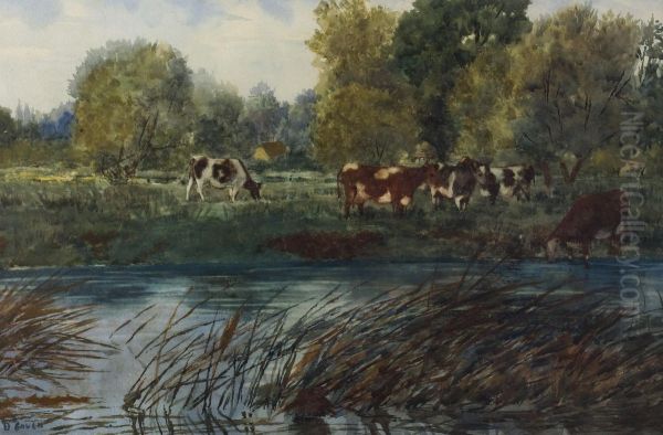 Cattle By The Lagan Oil Painting by David Gould