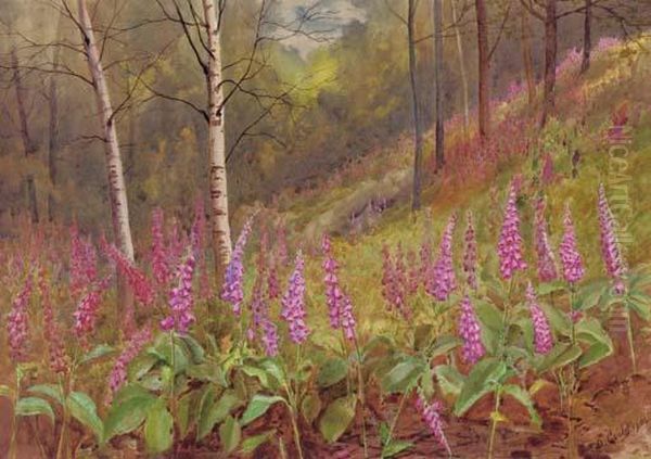 Foxgloves Among Silver Birch Trees Oil Painting by David Gould