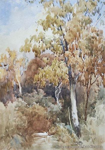 Tree Study Oil Painting by Edmond, Edward Gouldsmith