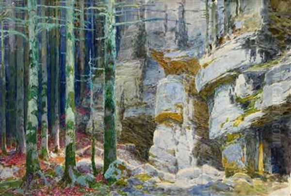 A Forest Interior With Rockformations Oil Painting by Peter Grabwinkler