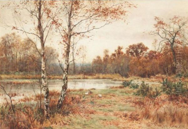 A Heathland Landscape With Ducks And A Pond Oil Painting by James Edward Grace