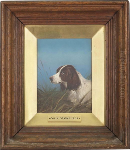 A Spaniel In A Landscape; And A Spaniel On The Scent Oil Painting by Colin Graeme Roe