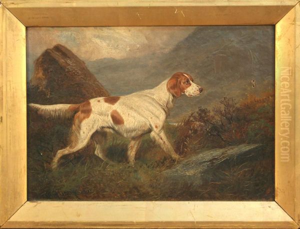 Study Of A Setter In A Moorland Landscape Oil Painting by Colin Graeme Roe