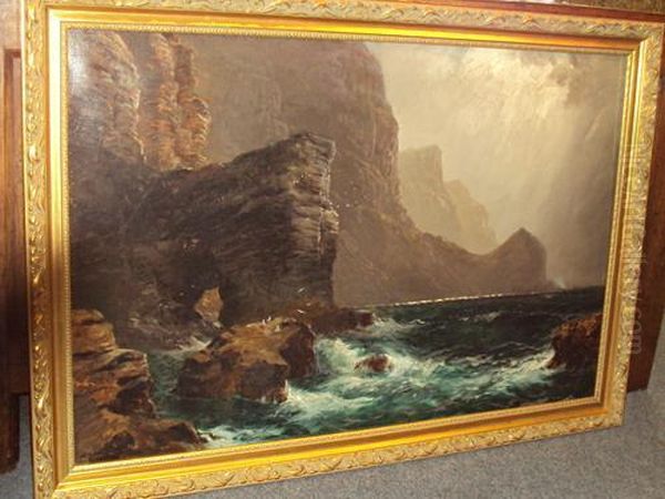 A Coastline With Gulls And Cliffs Oil Painting by Peter Graham