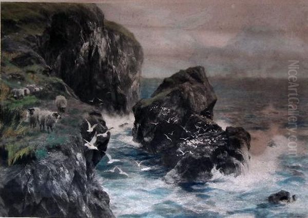 Seascape With Sheep And Seagulls To Rocks Oil Painting by Peter Graham