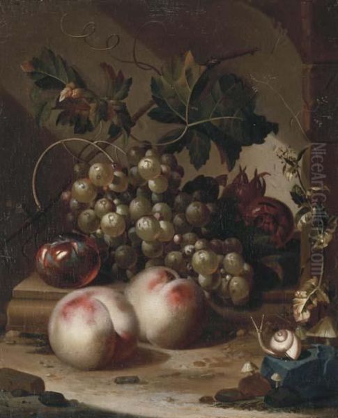 A Plum, Grapes On The Vine And Medlars On A Ledge With Peaches, Asnail In The Foreground Oil Painting by Willem Grasdorp