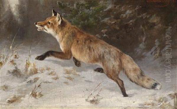 Fox In Winter Forest Oil Painting by Otto Grashey