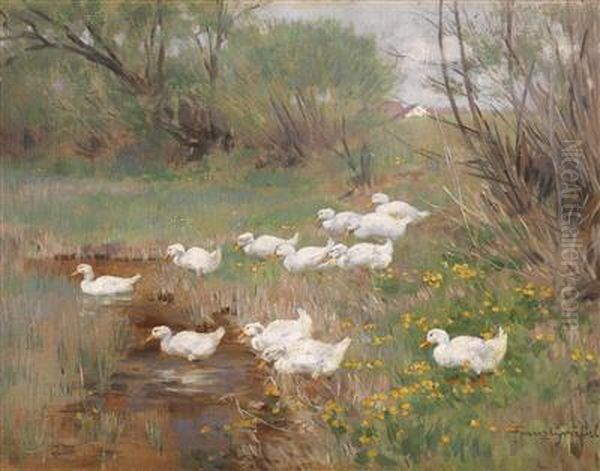 Ducks On A Spring Stream Oil Painting by Franz Grassel