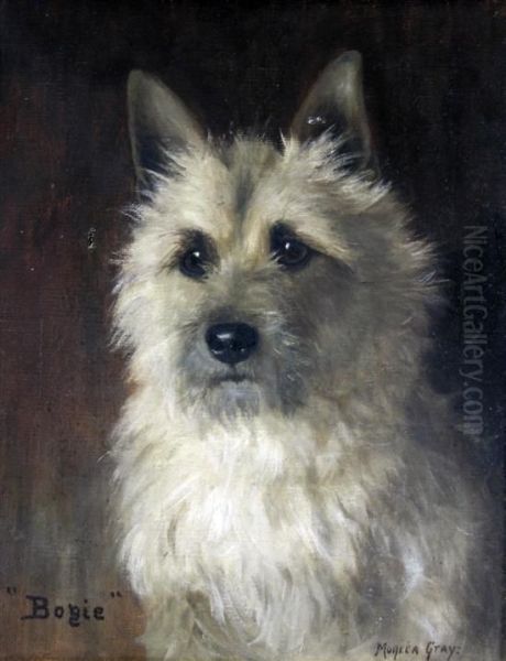 'bogie' A Terrier Oil Painting by Monica Gray