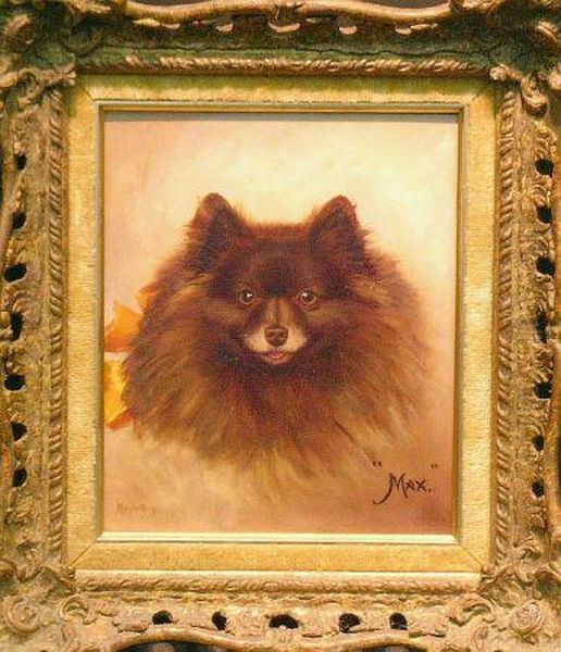 'max', A Pomeranian Oil Painting by Monica Gray