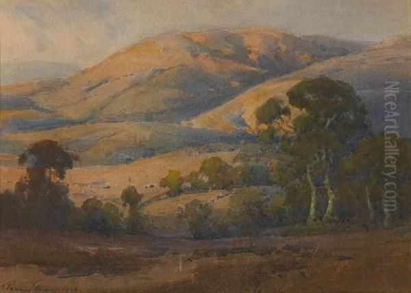 Marin County Hills by Percy Gray