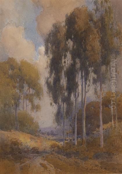 Path Through Eucalyptus by Percy Gray