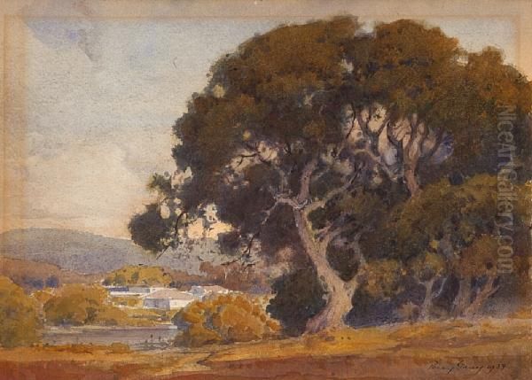 Oak Grove Near Water And Houses Oil Painting by Percy Gray