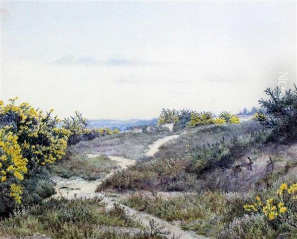 Gorse On Sand Dunes Oil Painting by Eliza Pratt Greatorex