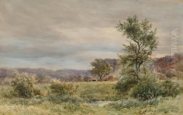 The Vale Of Llanwot Oil Painting by Colin H. Greenwood