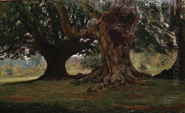 A Woodland Landscape Oil Painting by Edward John Gregory