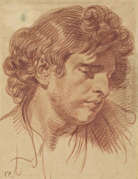 Tete D'homme Aux Cheveux Boucles Oil Painting by Jean Baptiste Greuze