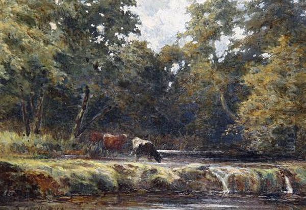 Cattle Watering Oil Painting by Alfred Grey