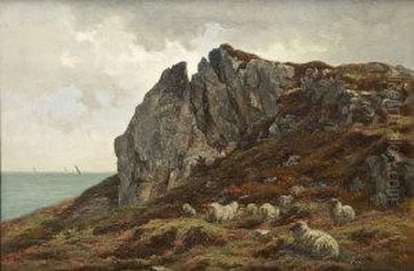 Sheep By The Coast Oil Painting by Alfred Grey