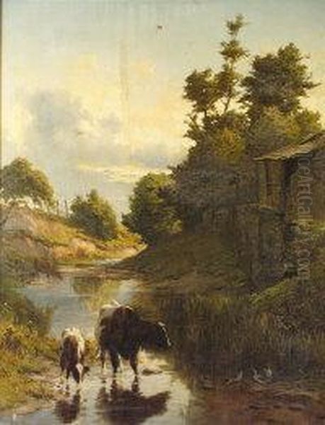 Cattle Watering In A Stream Oil Painting by Alfred Grey