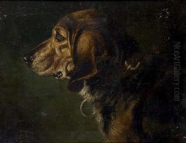 Portrait Of A Bloodhound Oil Painting by Charles Grey